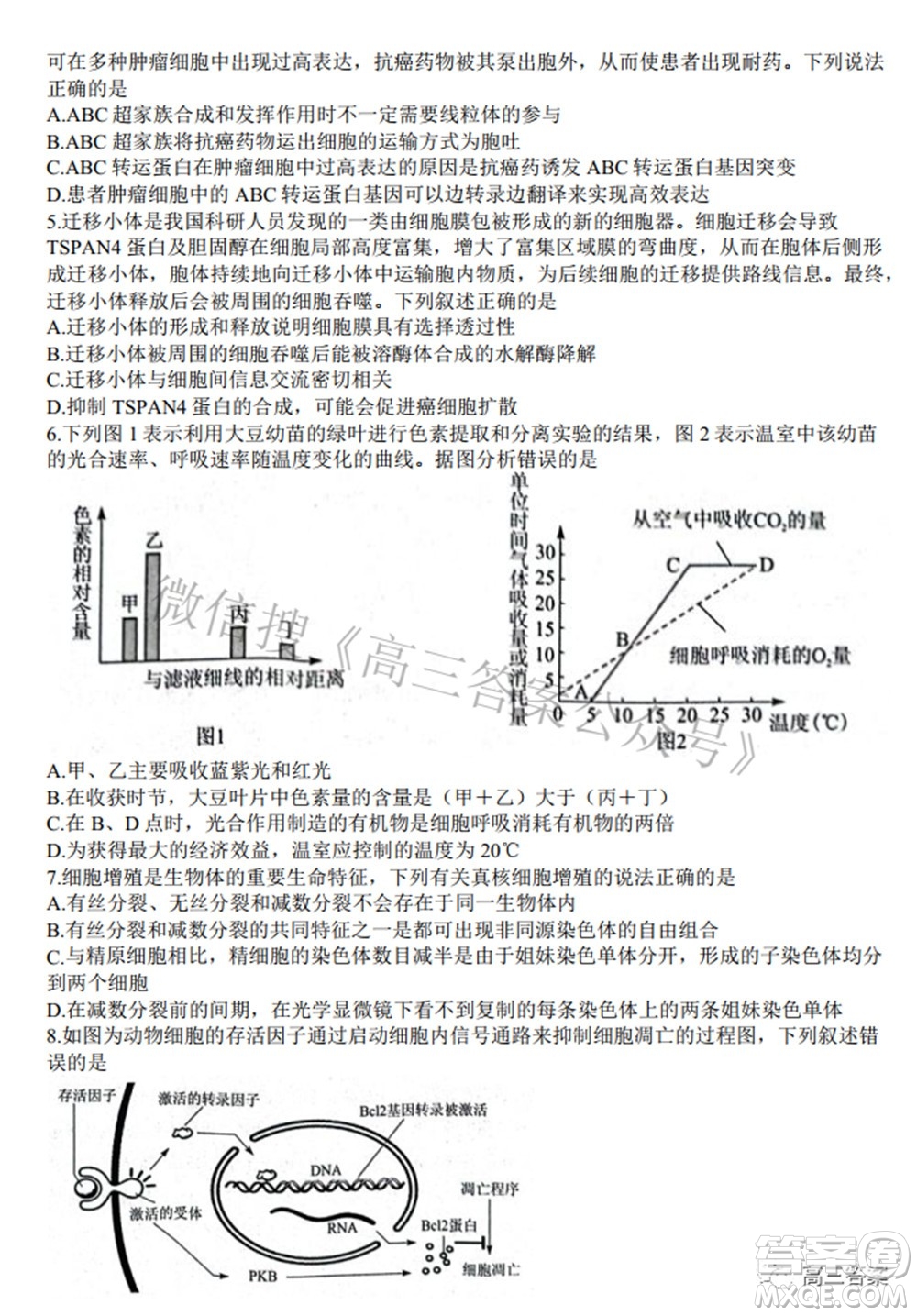 2022年湖北省八市高三3月聯(lián)考生物試題及答案