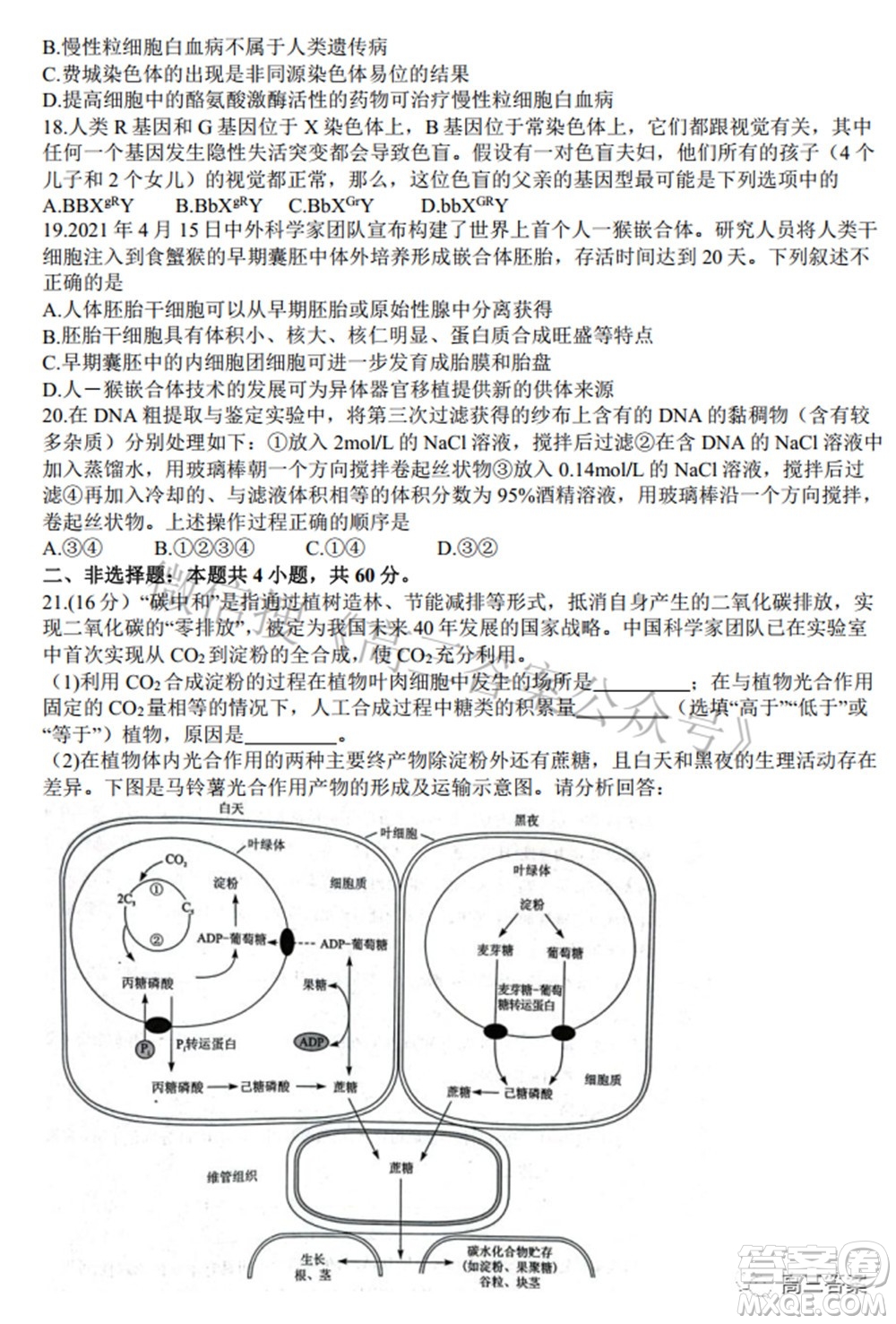 2022年湖北省八市高三3月聯(lián)考生物試題及答案