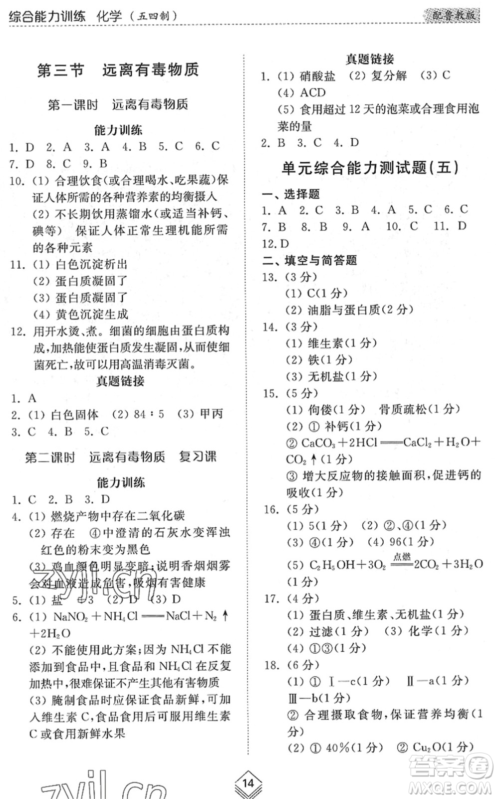 山東人民出版社2022綜合能力訓(xùn)練九年級化學(xué)全一冊(2)魯教版五四學(xué)制答案