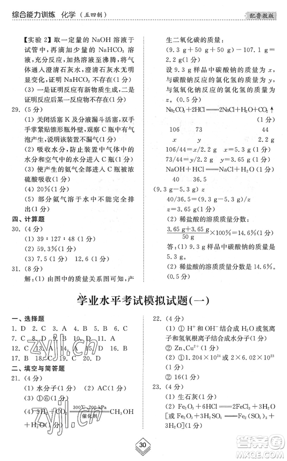 山東人民出版社2022綜合能力訓(xùn)練九年級化學(xué)全一冊(2)魯教版五四學(xué)制答案