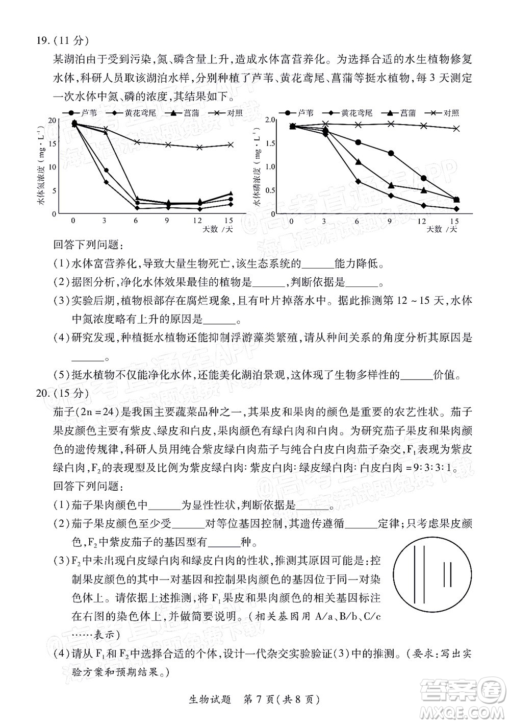 福建省部分地市2022屆高三畢業(yè)班4月診斷性聯(lián)考生物試題及答案