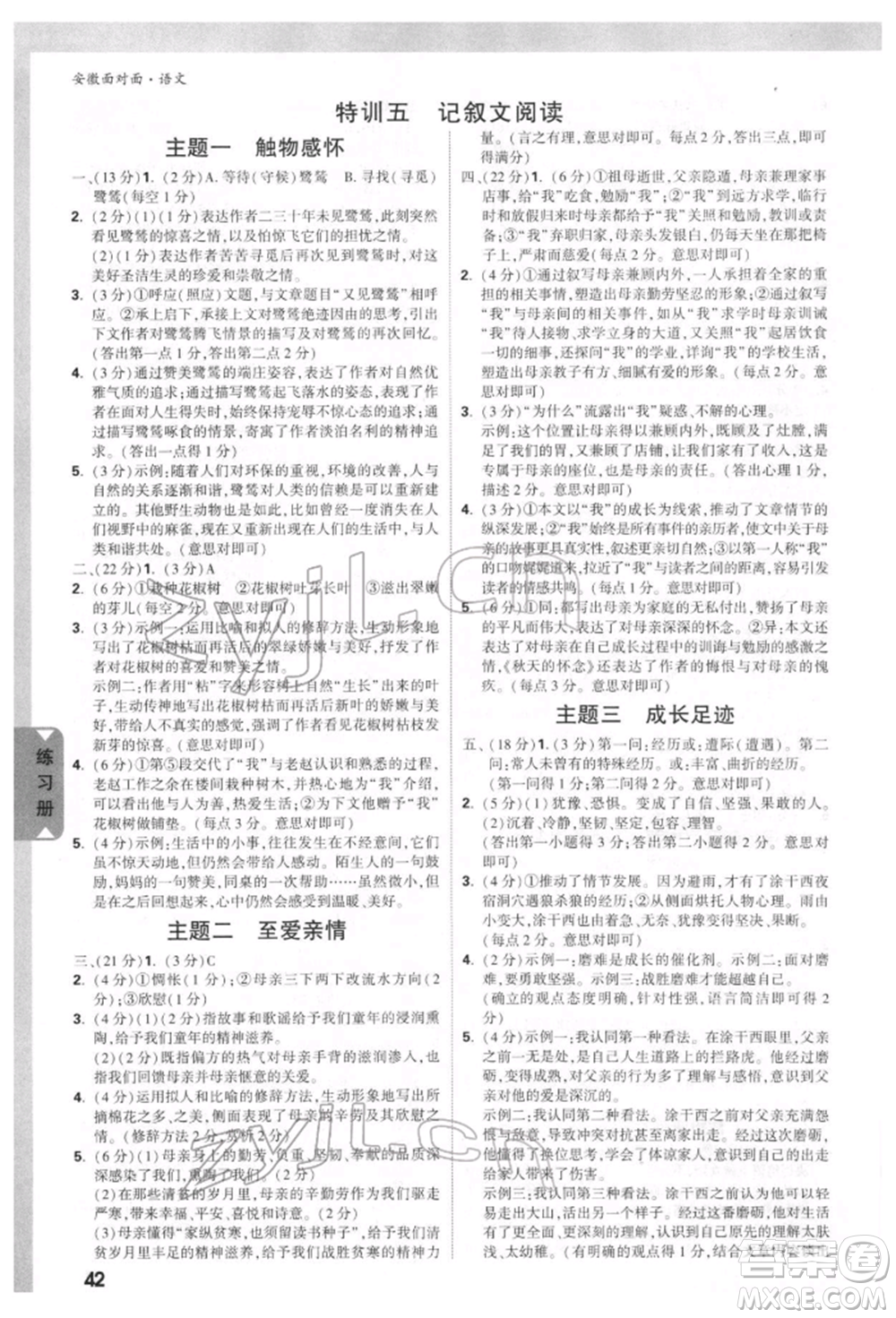 新疆青少年出版社2022中考面對面九年級語文通用版安徽專版參考答案