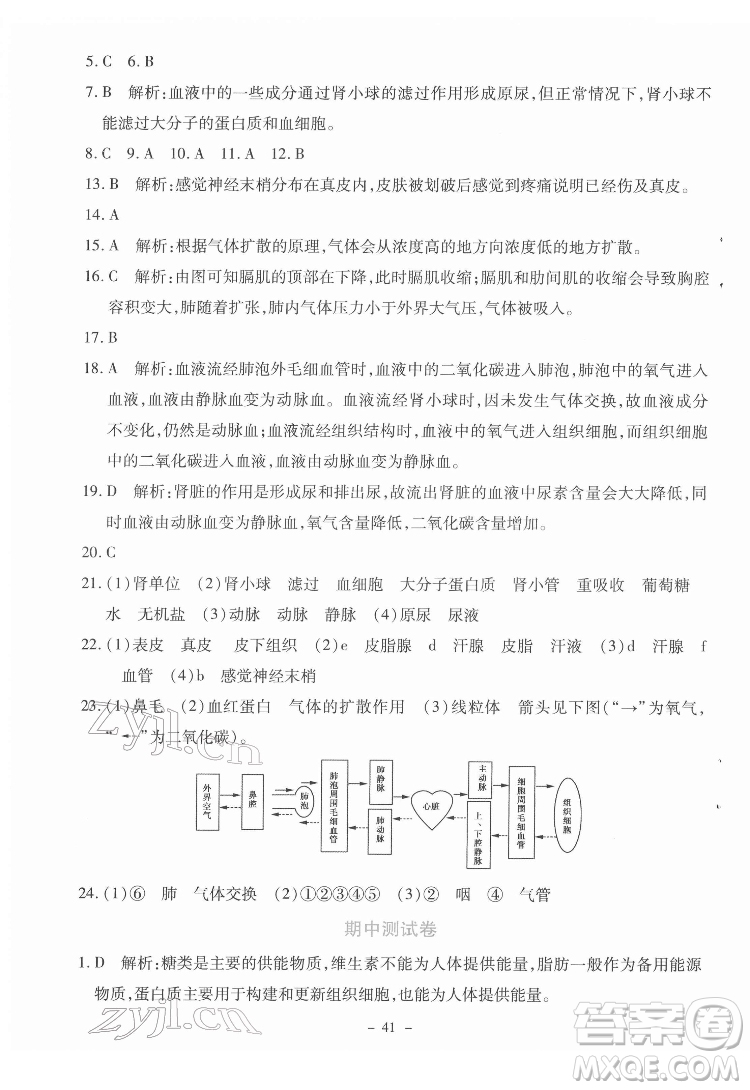 北京師范大學(xué)出版社2022課內(nèi)課外直通車生物七年級(jí)下冊(cè)北師大版福建專版答案