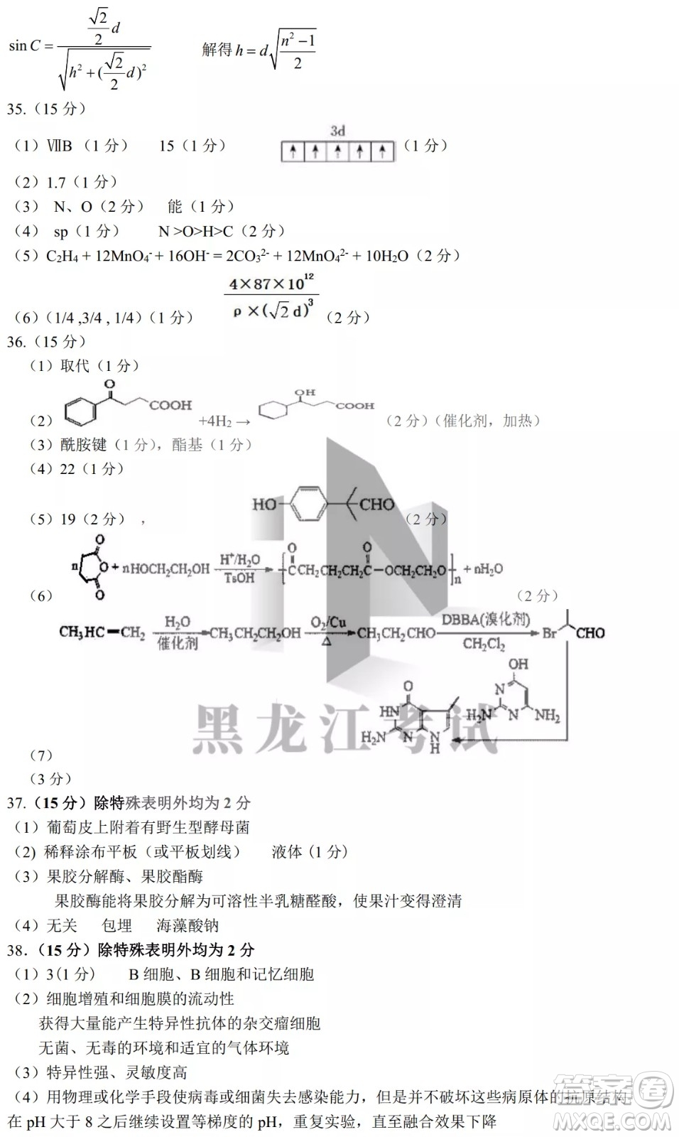 哈爾濱市第九中學(xué)2022屆高三第二次模擬考試?yán)砭C試卷及答案