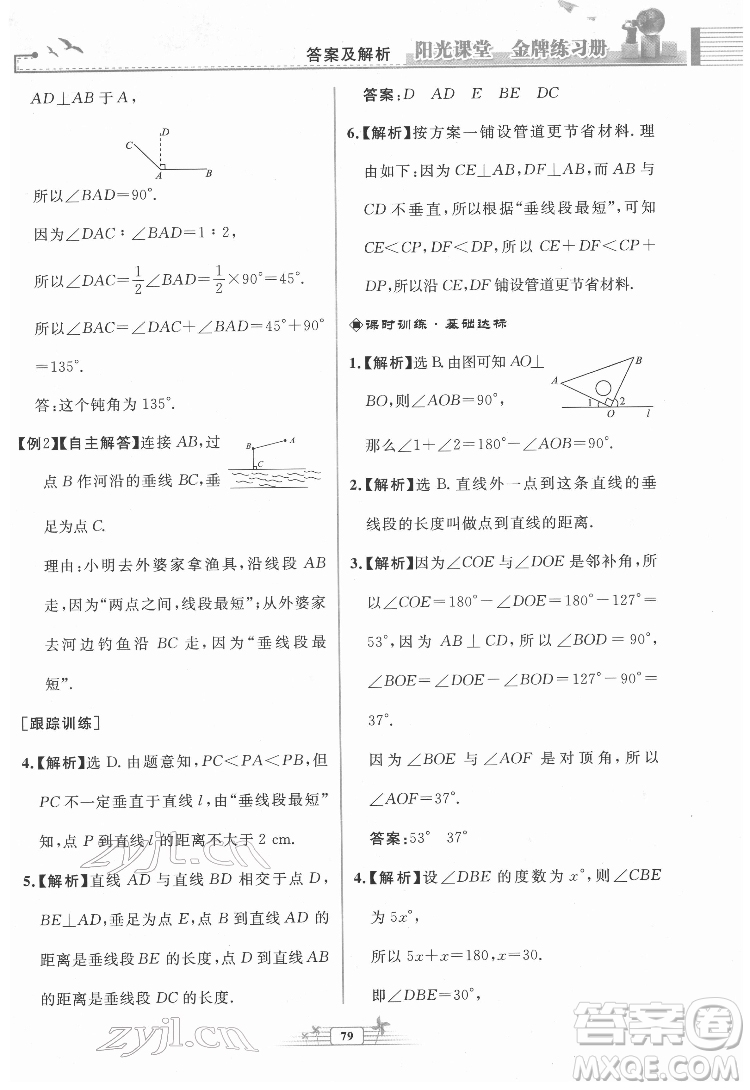 人民教育出版社2022陽光課堂金牌練習(xí)冊數(shù)學(xué)七年級下冊人教版福建專版答案