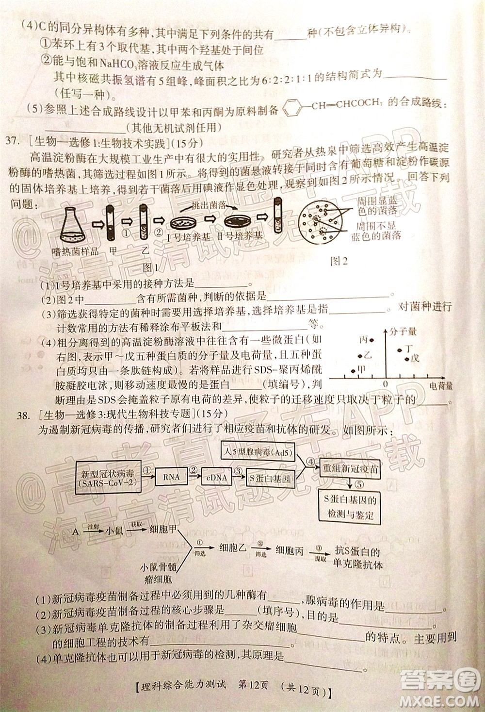 2022高考桂林崇左賀州河池來賓市聯(lián)合模擬考試?yán)砜凭C合試題及答案