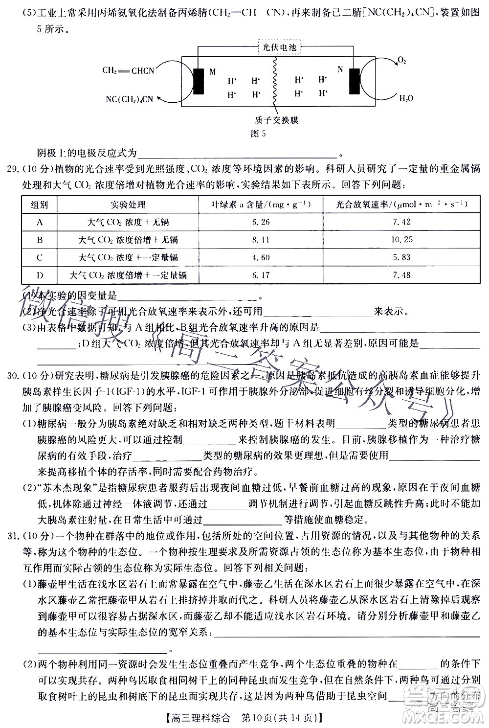 2022年4月金太陽高三聯(lián)考理科綜合試題及答案