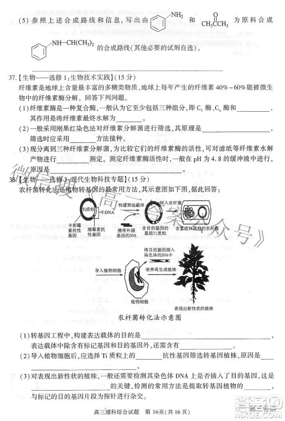 合肥市2022年高三第二次教學質量檢測理科綜合試題及答案