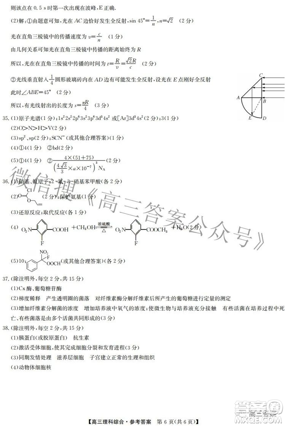 2022九師聯(lián)盟高三4月質量監(jiān)測理科綜合試題及答案