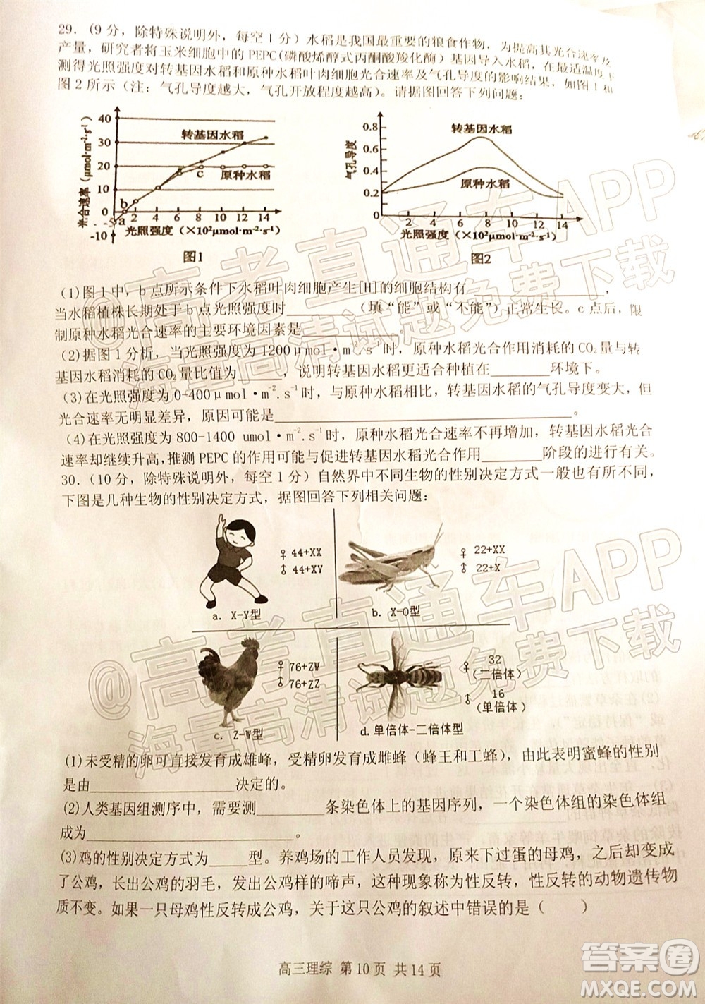 宜春市2022年高三模擬考試?yán)砜凭C合試題及答案