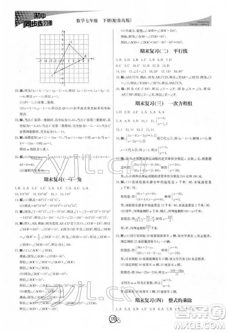 北京教育出版社2022初中同步練習冊數(shù)學七年級下冊青島版答案