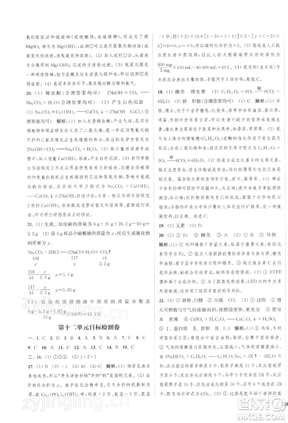 蘇州大學(xué)出版社2022金鑰匙1+1課時(shí)作業(yè)目標(biāo)檢測(cè)九年級(jí)下冊(cè)化學(xué)全國(guó)版鹽城專版參考答案