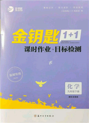 蘇州大學(xué)出版社2022金鑰匙1+1課時(shí)作業(yè)目標(biāo)檢測(cè)九年級(jí)下冊(cè)化學(xué)全國(guó)版鹽城專版參考答案