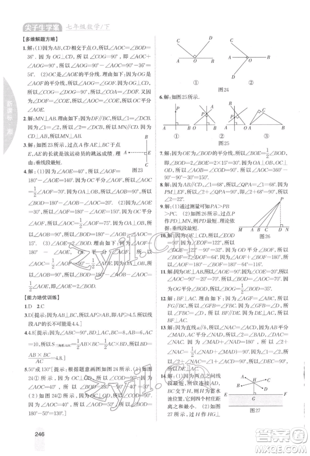 吉林人民出版社2022尖子生學案七年級下冊數(shù)學湘教版參考答案