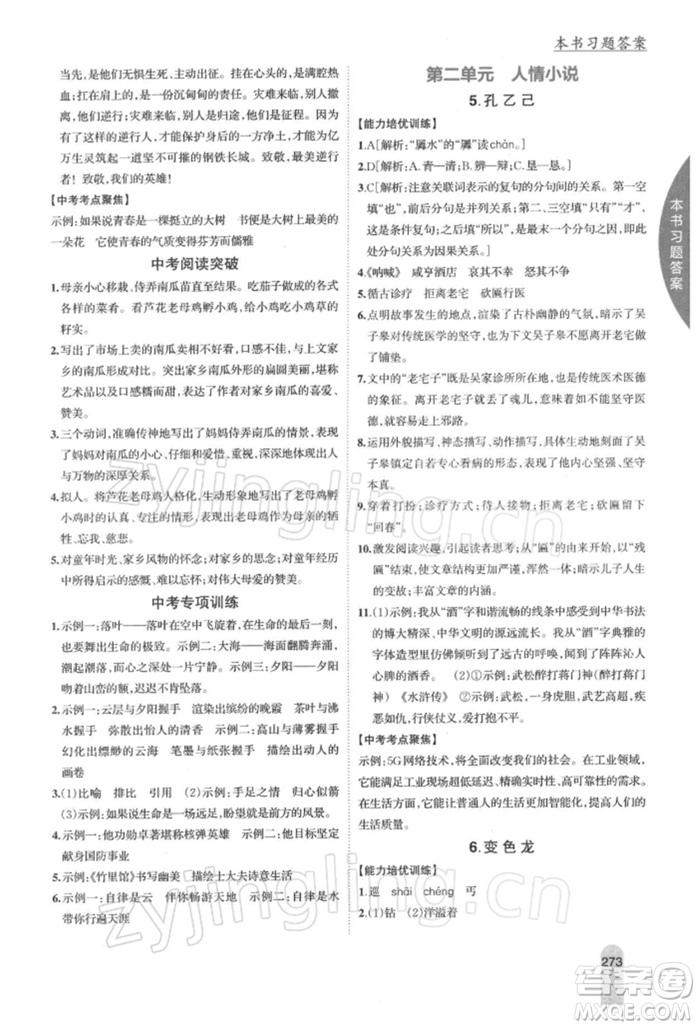 吉林人民出版社2022尖子生學(xué)案九年級下冊語文人教版參考答案