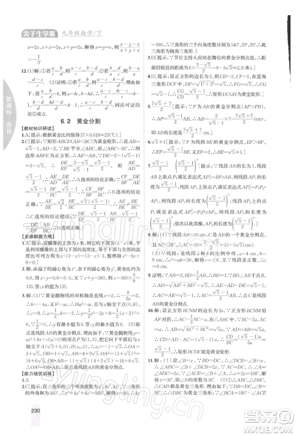 吉林人民出版社2022尖子生學(xué)案九年級(jí)下冊(cè)數(shù)學(xué)蘇科版參考答案