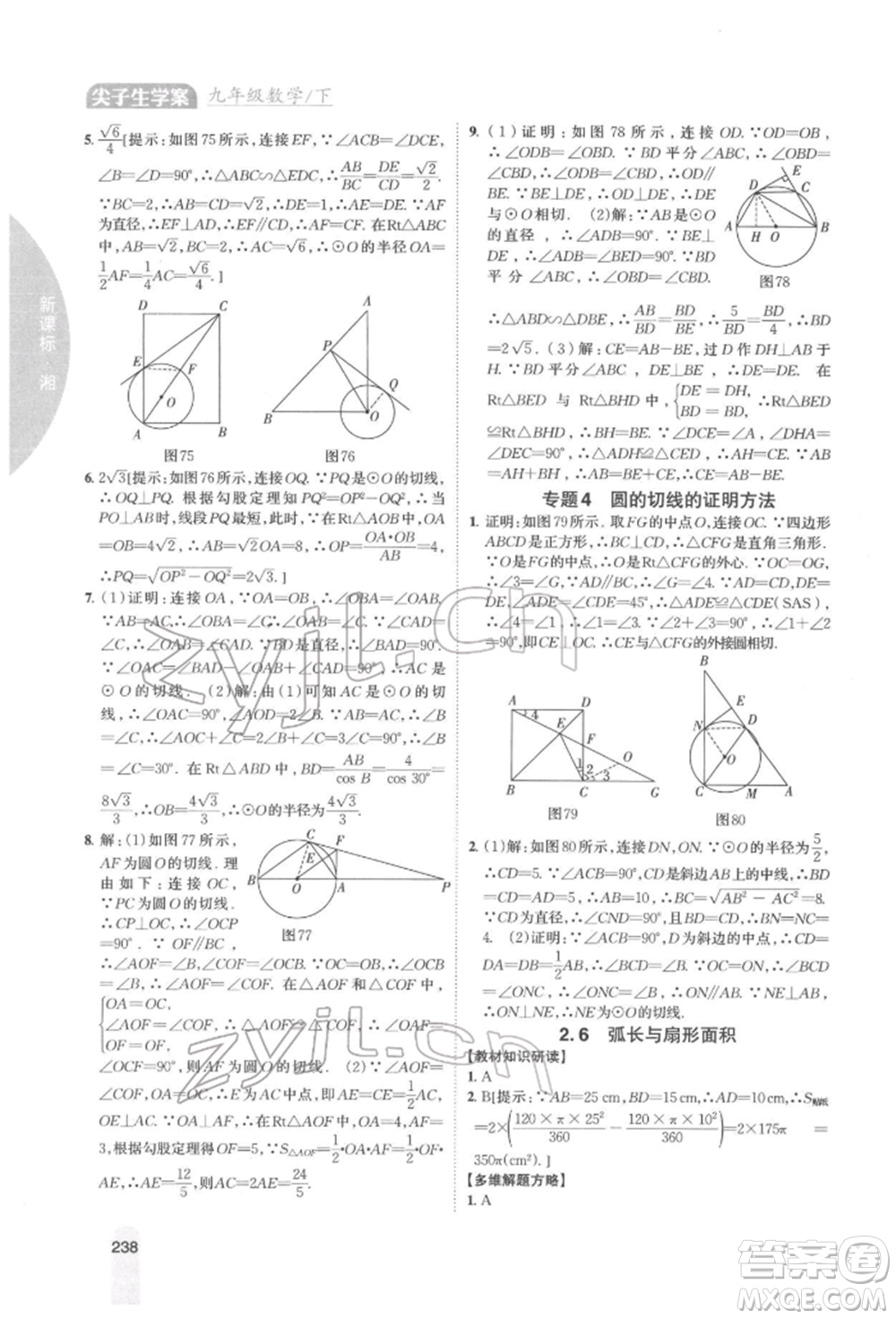 吉林人民出版社2022尖子生學(xué)案九年級下冊數(shù)學(xué)湘教版參考答案