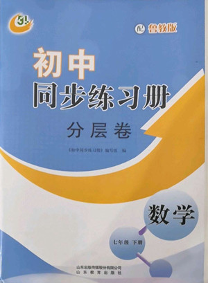 山東教育出版社2022初中同步練習冊分層卷數(shù)學七年級下冊魯教版答案