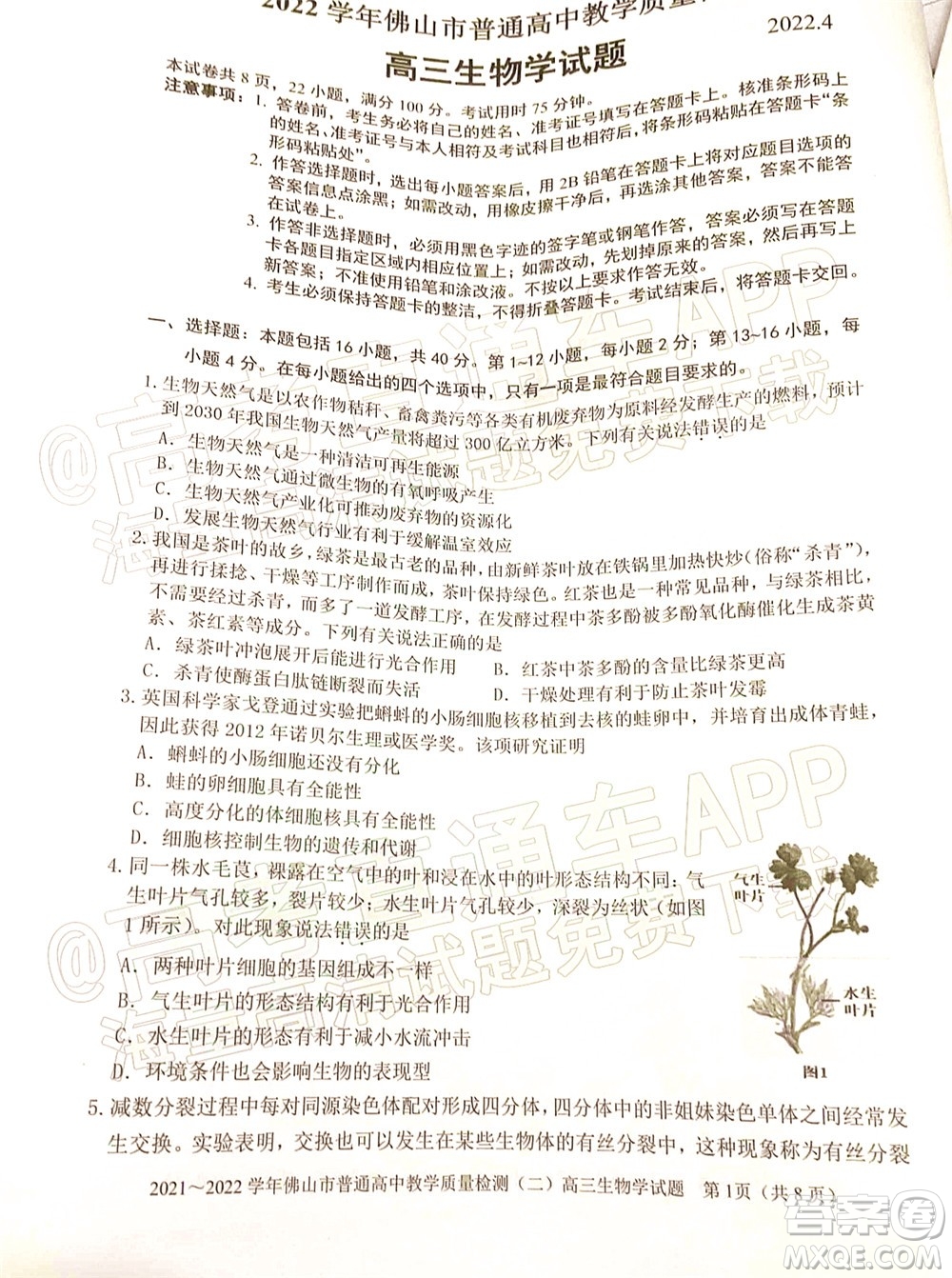 2021-2022學(xué)年佛山市普通高中教學(xué)質(zhì)量檢測(cè)二高三生物學(xué)試題及答案