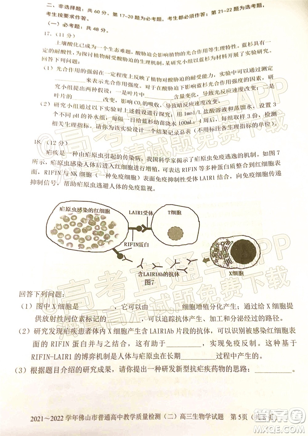 2021-2022學(xué)年佛山市普通高中教學(xué)質(zhì)量檢測(cè)二高三生物學(xué)試題及答案