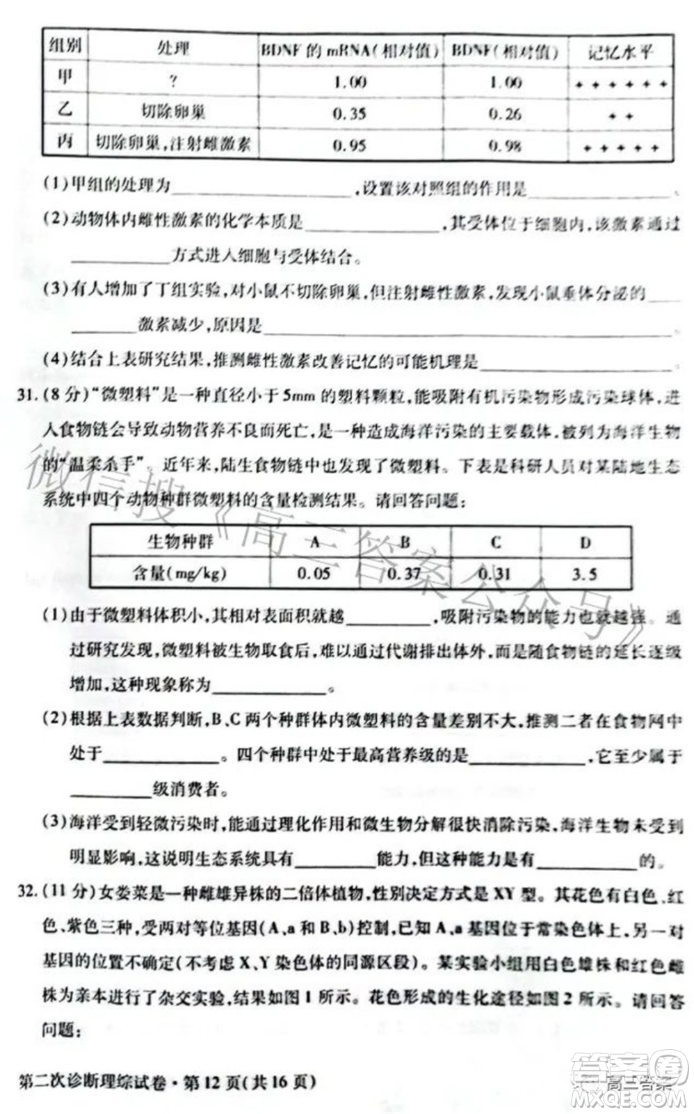 2022年甘肅省第二次高考診斷考試?yán)砜凭C合試題及答案