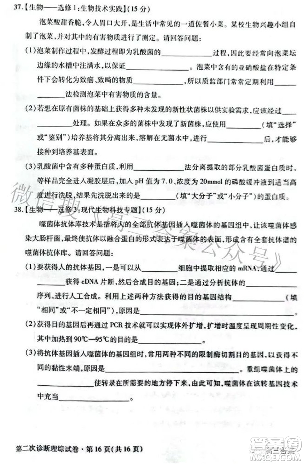 2022年甘肅省第二次高考診斷考試?yán)砜凭C合試題及答案