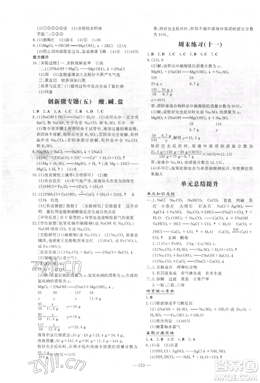 吉林教育出版社2022練案課時(shí)作業(yè)本九年級(jí)下冊(cè)化學(xué)人教版參考答案