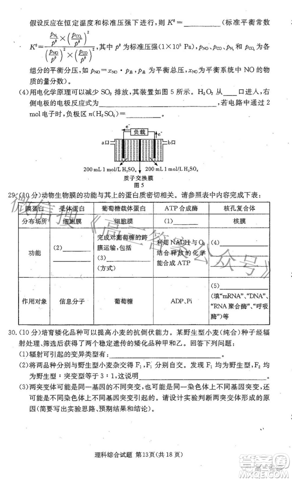 2022屆炎德英才長郡十五校聯(lián)盟高三第二次聯(lián)考全國卷理科綜合試題及答案