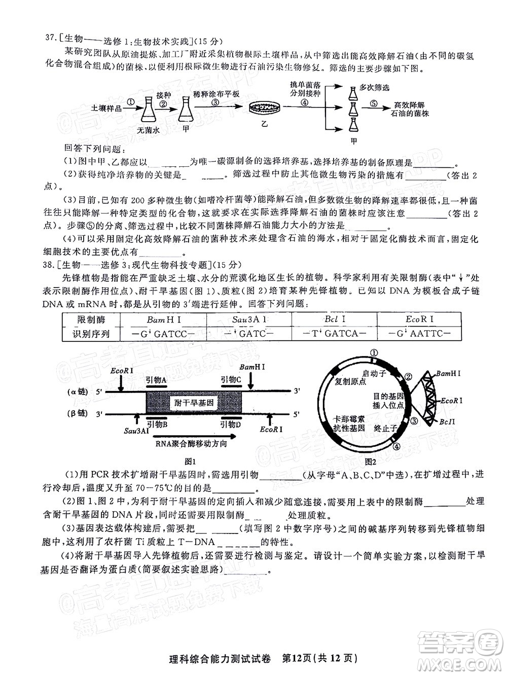 2022年安慶市示范高中高三4月聯(lián)考理科綜合試題及答案