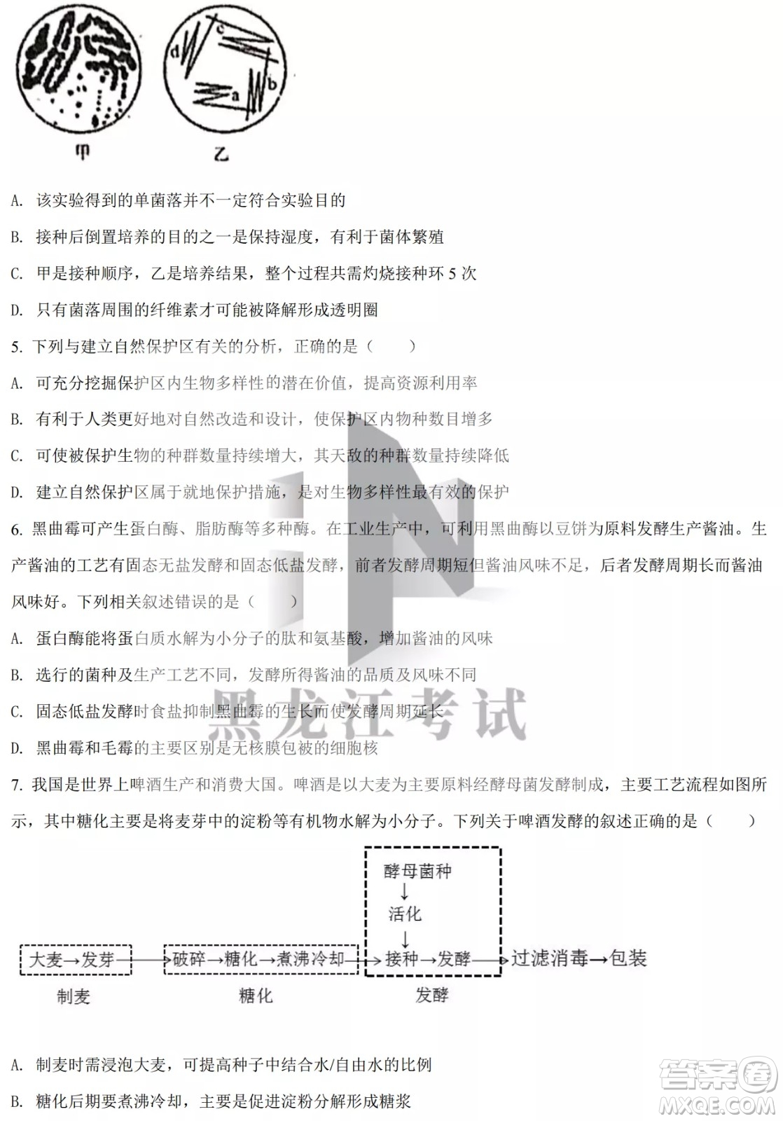 大慶實驗中學(xué)實驗一部2020級高二下學(xué)期4月階段性質(zhì)量檢測生物學(xué)試題及答案