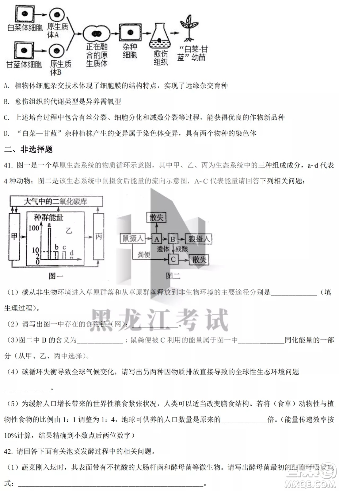 大慶實驗中學(xué)實驗一部2020級高二下學(xué)期4月階段性質(zhì)量檢測生物學(xué)試題及答案