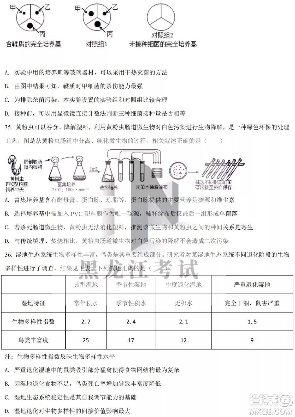 大慶實驗中學(xué)實驗一部2020級高二下學(xué)期4月階段性質(zhì)量檢測生物學(xué)試題及答案