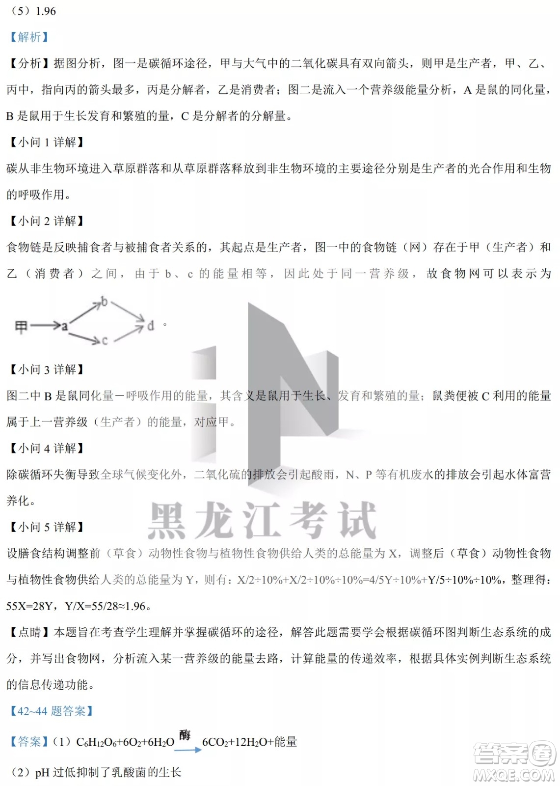 大慶實驗中學(xué)實驗一部2020級高二下學(xué)期4月階段性質(zhì)量檢測生物學(xué)試題及答案