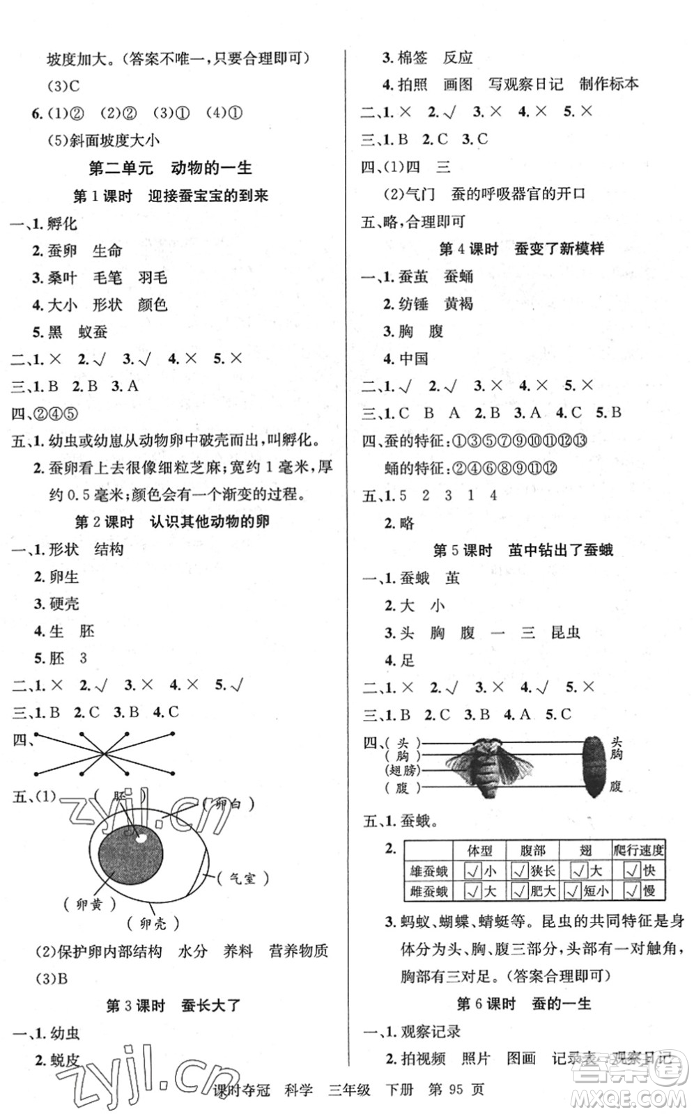 新疆科學(xué)技術(shù)出版社2022課時奪冠三年級科學(xué)下冊JK教科版答案