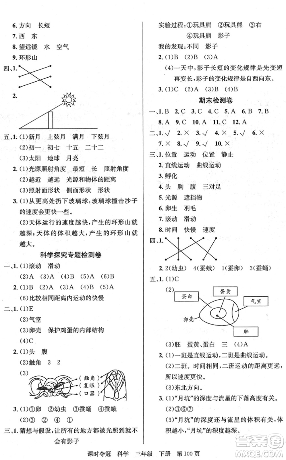 新疆科學(xué)技術(shù)出版社2022課時奪冠三年級科學(xué)下冊JK教科版答案