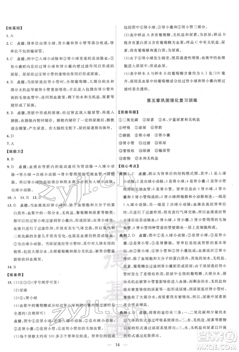 吉林教育出版社2022點撥訓(xùn)練課時作業(yè)本七年級下冊生物人教版參考答案