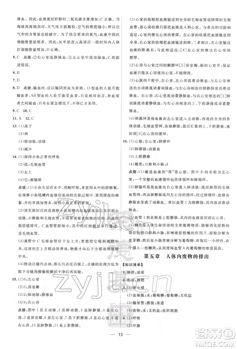 吉林教育出版社2022點撥訓(xùn)練課時作業(yè)本七年級下冊生物人教版參考答案