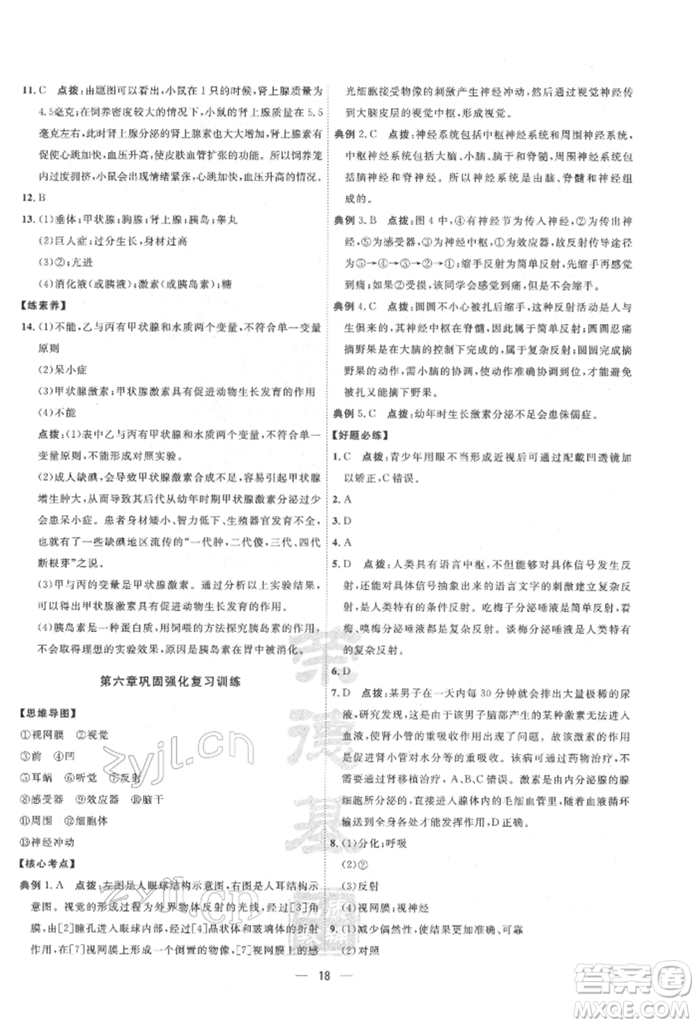 吉林教育出版社2022點撥訓(xùn)練課時作業(yè)本七年級下冊生物人教版參考答案