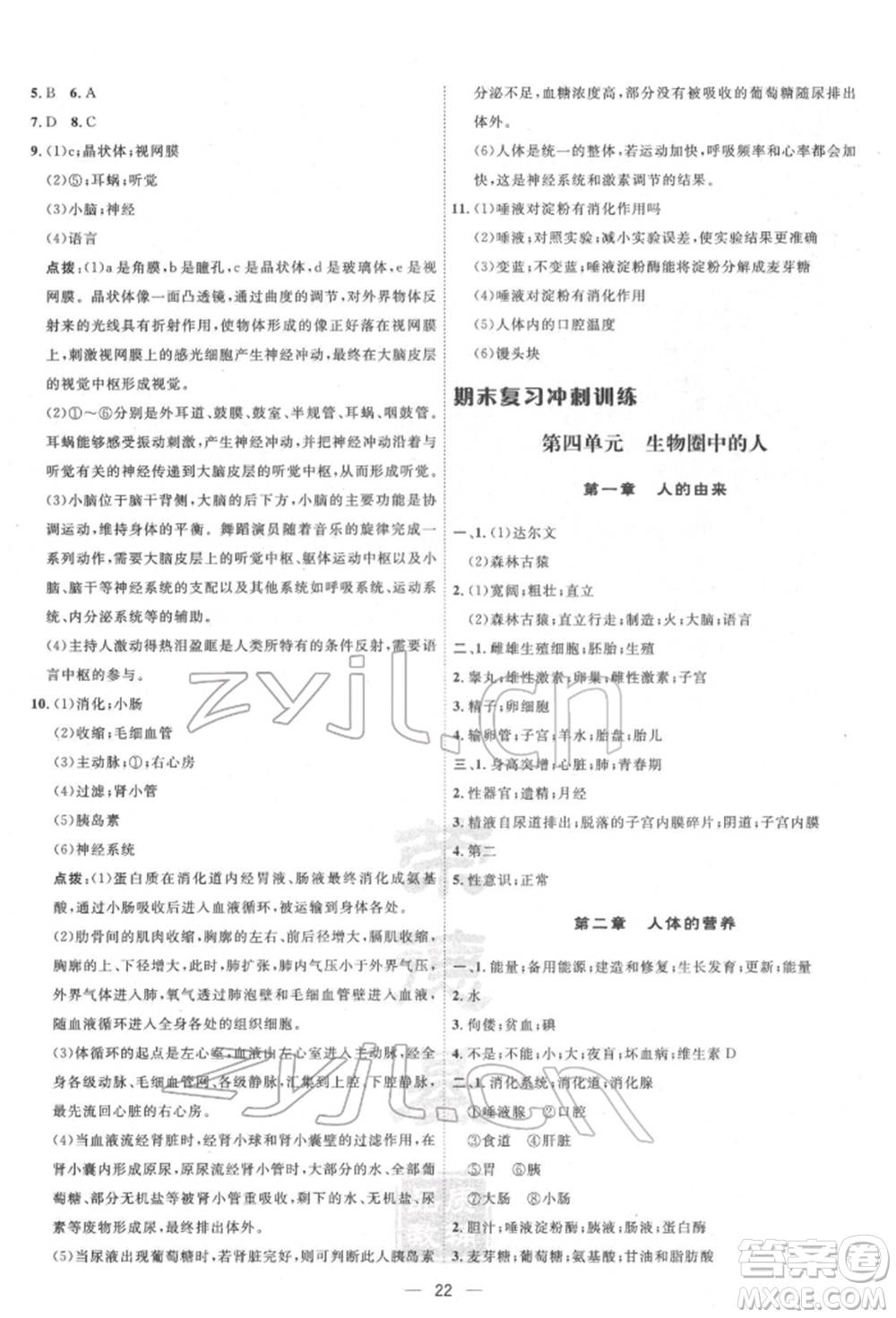 吉林教育出版社2022點撥訓(xùn)練課時作業(yè)本七年級下冊生物人教版參考答案