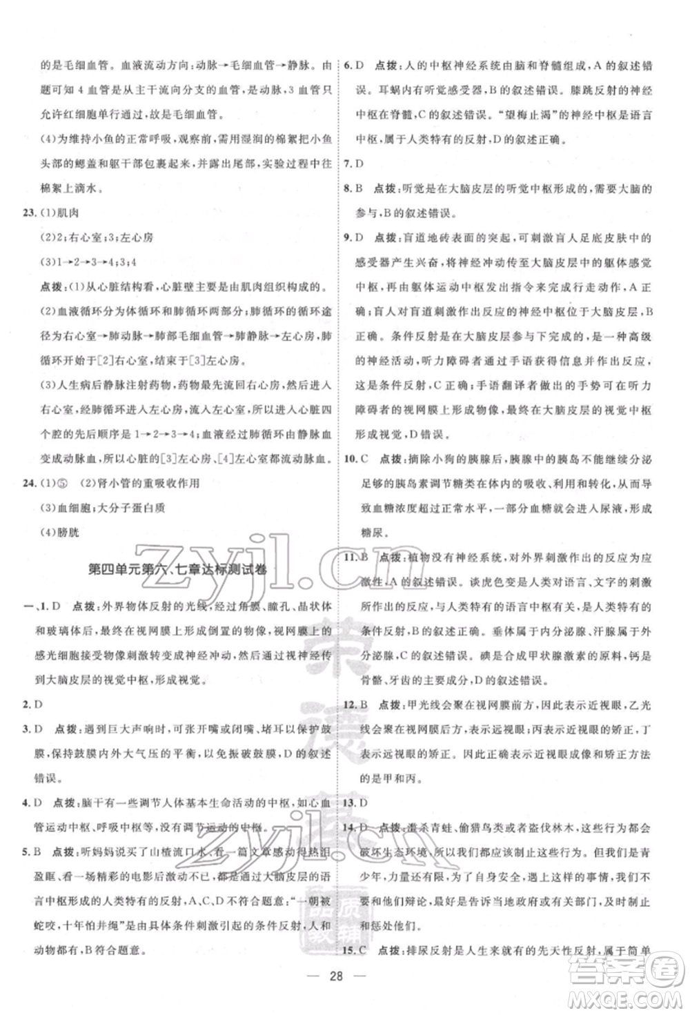 吉林教育出版社2022點撥訓(xùn)練課時作業(yè)本七年級下冊生物人教版參考答案