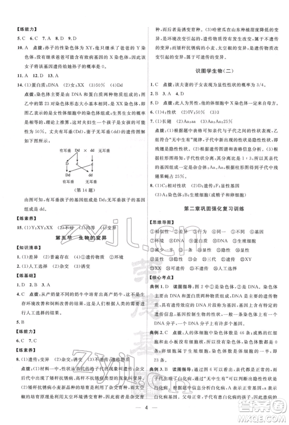 吉林教育出版社2022點撥訓練課時作業(yè)本八年級下冊生物人教版參考答案