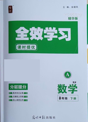 光明日報出版社2022全效學(xué)習(xí)數(shù)學(xué)八年級下冊ZJ浙教版精華版答案