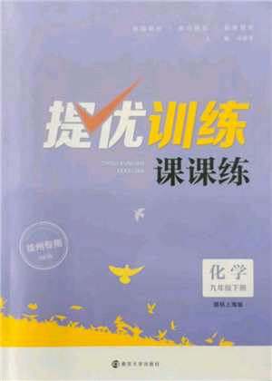 南京大學出版社2022提優(yōu)訓練課課練九年級下冊化學上海版徐州專版參考答案