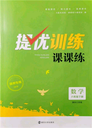 南京大學出版社2022提優(yōu)訓練課課練八年級下冊數(shù)學江蘇版徐州專版參考答案