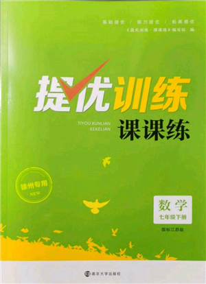 南京大學出版社2022提優(yōu)訓練課課練七年級下冊數學江蘇版徐州專版參考答案