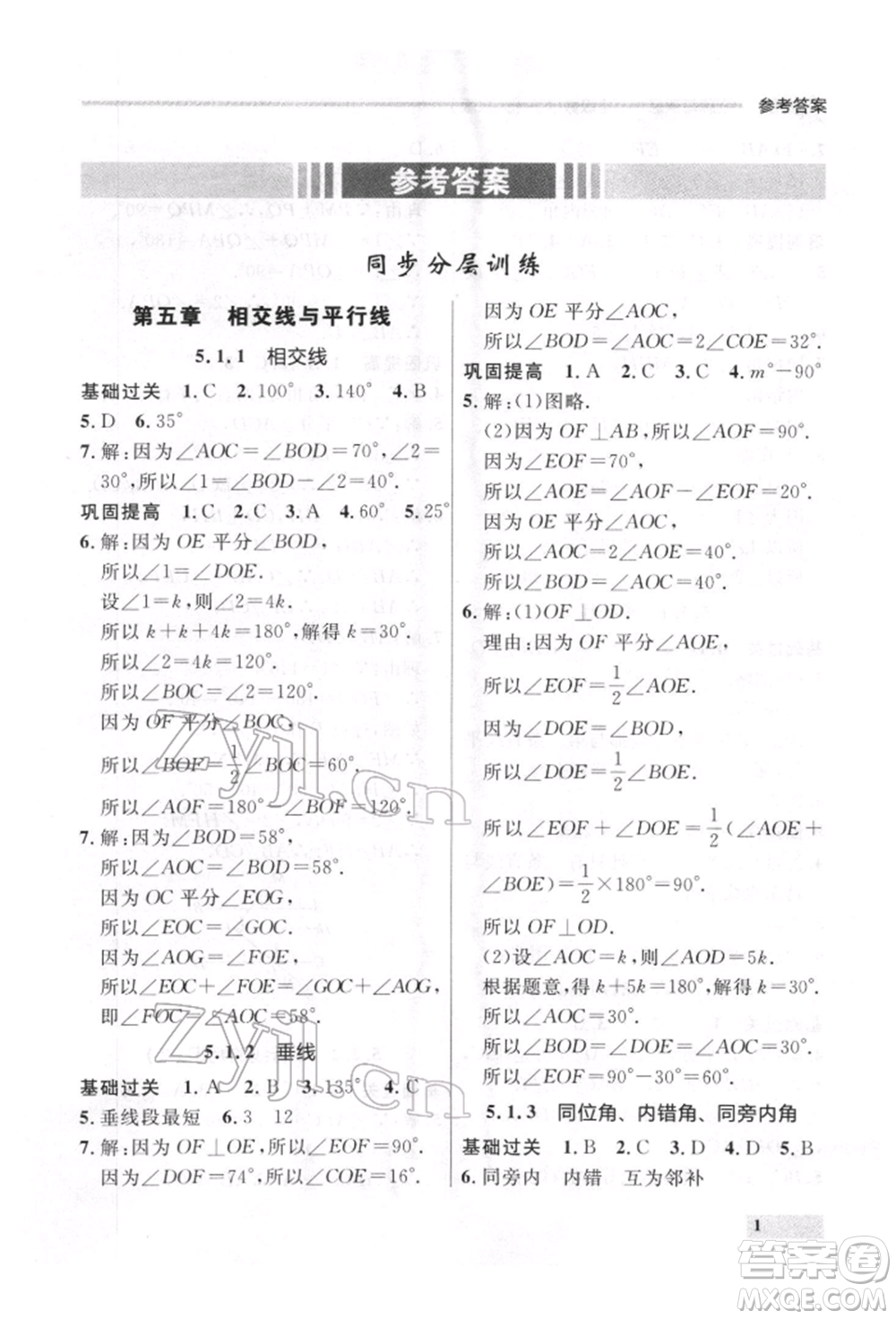 延邊大學(xué)出版社2022點(diǎn)石成金金牌每課通七年級(jí)下冊(cè)數(shù)學(xué)人教版參考答案