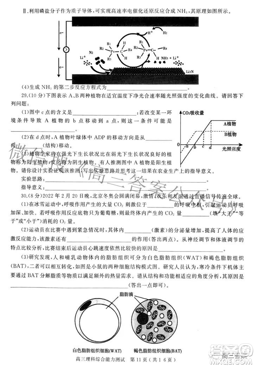 2022年河南省五市高三第二次聯(lián)合調(diào)研檢測(cè)理科綜合試題及答案