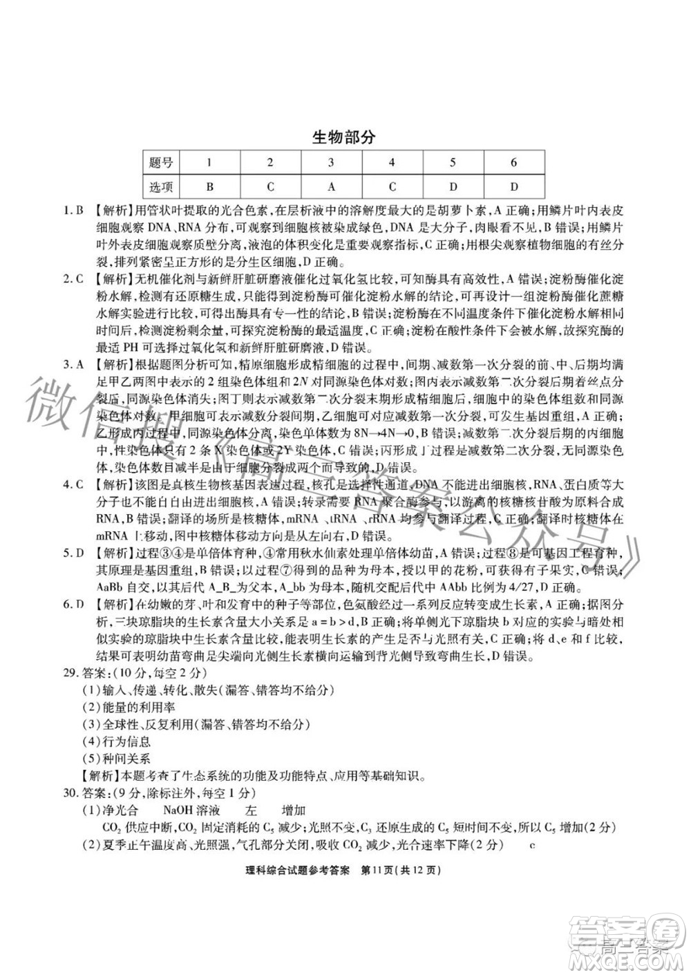 江淮十校2022屆高三第三次聯(lián)考理科綜合試題及答案