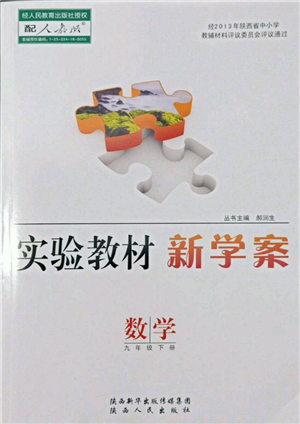 陜西人民出版社2022實(shí)驗(yàn)教材新學(xué)案九年級(jí)下冊(cè)數(shù)學(xué)人教版參考答案