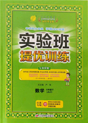 江蘇人民出版社2022實(shí)驗(yàn)班提優(yōu)訓(xùn)練六年級(jí)下冊(cè)數(shù)學(xué)蘇教版江蘇專版參考答案